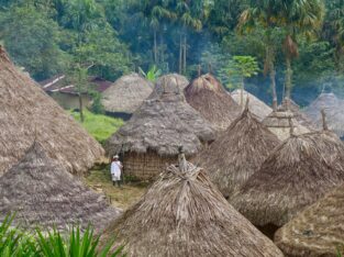 Traditionele ronde hutten met rieten daken in een inheems dorp in de Sierra Nevada de Santa Marta