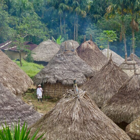 Traditionele ronde hutten met rieten daken in een inheems dorp in de Sierra Nevada de Santa Marta