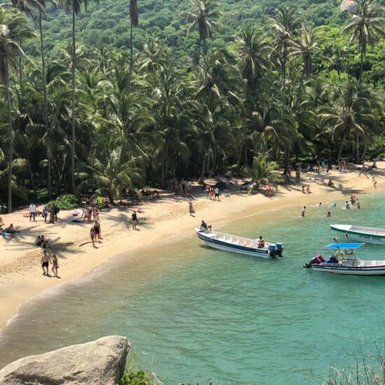 Palmenstrand en turquoise water in Tayrona Nationaal Park