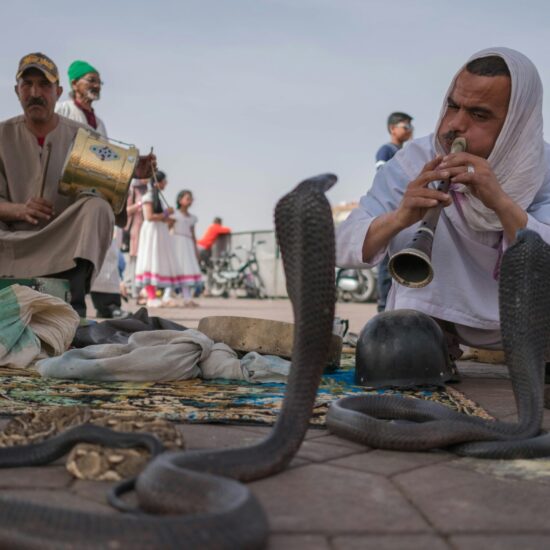 Slangenbezweerders op het Djemaa el-Fna-plein in Marrakech