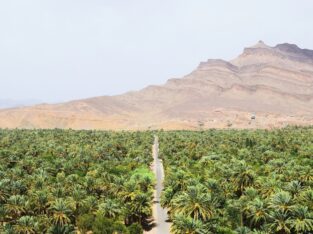 Weg door een uitgestrekte palmentuin aan de voet van de bergen in Zuid-Marokko