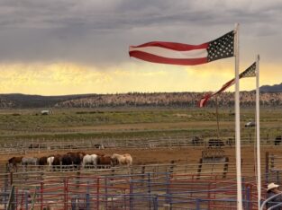 Amerikaanse vlaggen boven de paarden op de ranch