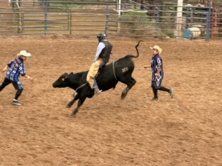 Stierenrijden op de rodeo