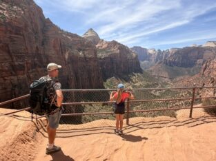 Uitzicht op Zion National Park